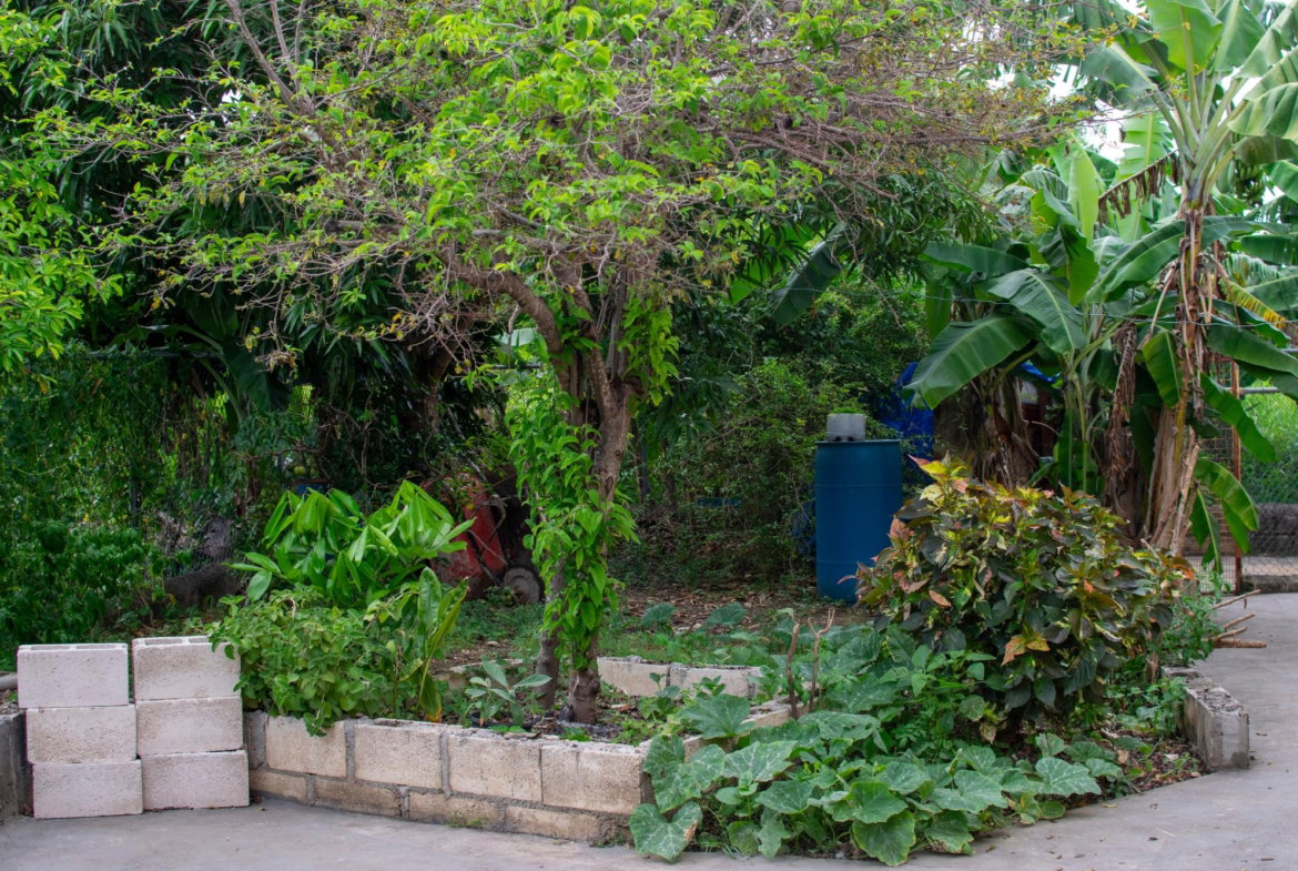 Sixth image of 494-494 Plantation Village in Priory, St. Ann, Jamaica - property is For Sale