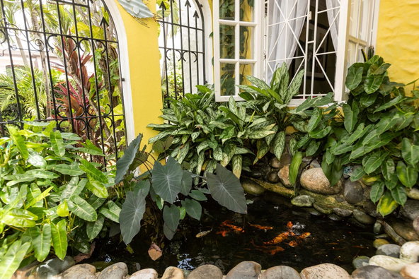 Ninth image of 4 Garden Close in Kingston 8, St. Andrew, Jamaica - property is For Sale