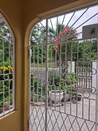 Ninth image of Lot 1- Stanmore Estate, Coconut in Ocho Rios, St. Ann, Jamaica - property is For Sale