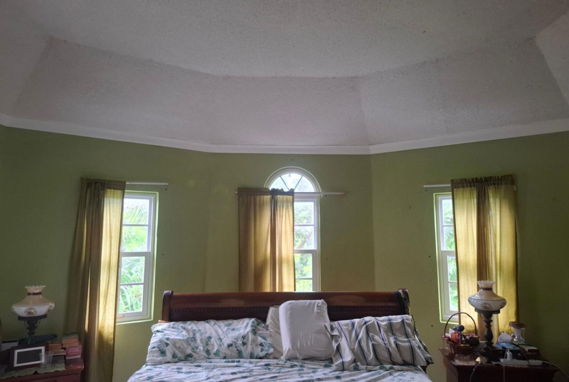 Nineteenth image of Lot 1- Stanmore Estate, Coconut in Ocho Rios, St. Ann, Jamaica - property is For Sale