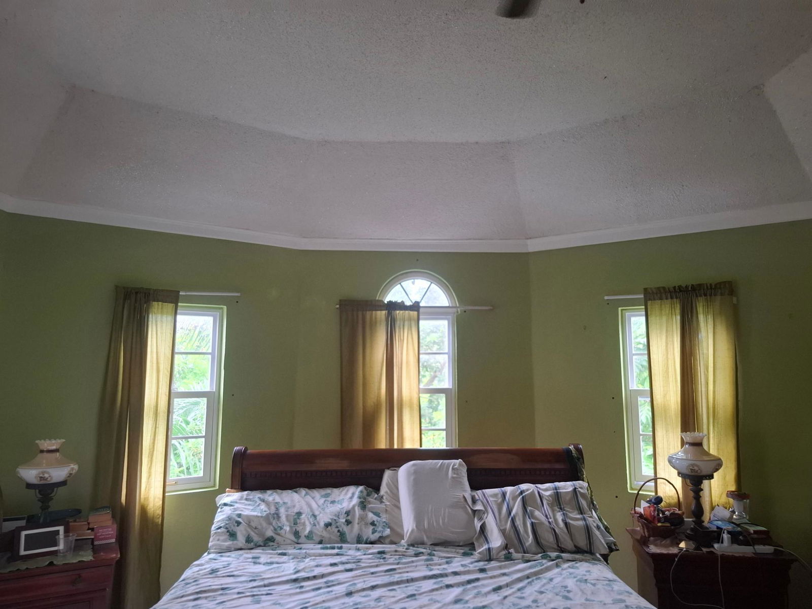 Luxury-7-Bedroom-Estate-for-Sale-in-Stanmore-Ocho-Rios-Jamaica Nineteenth image of Lot 1- Stanmore Estate, Coconut in Ocho Rios, St. Ann, Jamaica - property is For Sale