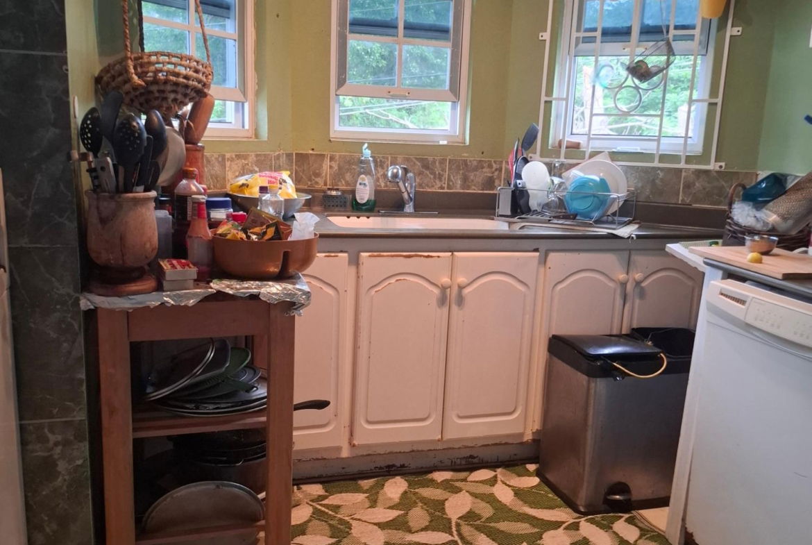 Twenty-Eighth image of Lot 1- Stanmore Estate, Coconut in Ocho Rios, St. Ann, Jamaica - property is For Sale