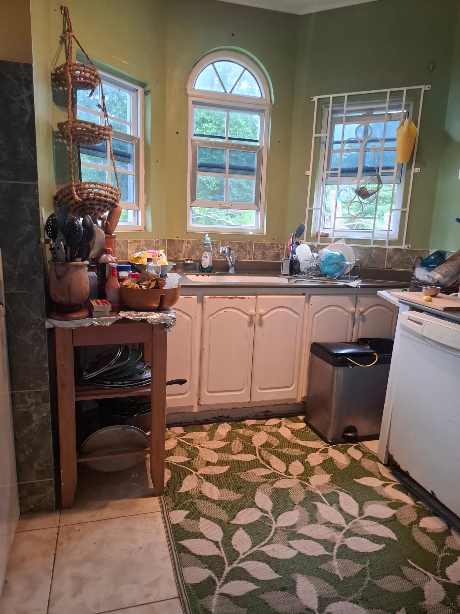 Luxury-7-Bedroom-Estate-for-Sale-in-Stanmore-Ocho-Rios-Jamaica Twenty-Eighth image of Lot 1- Stanmore Estate, Coconut in Ocho Rios, St. Ann, Jamaica - property is For Sale