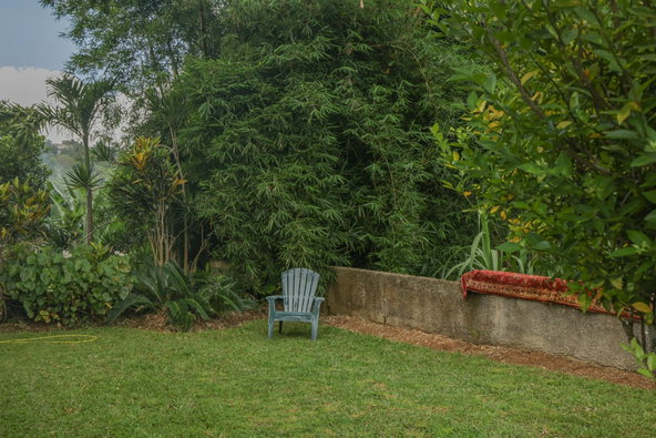 Tenth image of Spring And Elim in Sedburgh, Manchester, Jamaica - property is For Sale