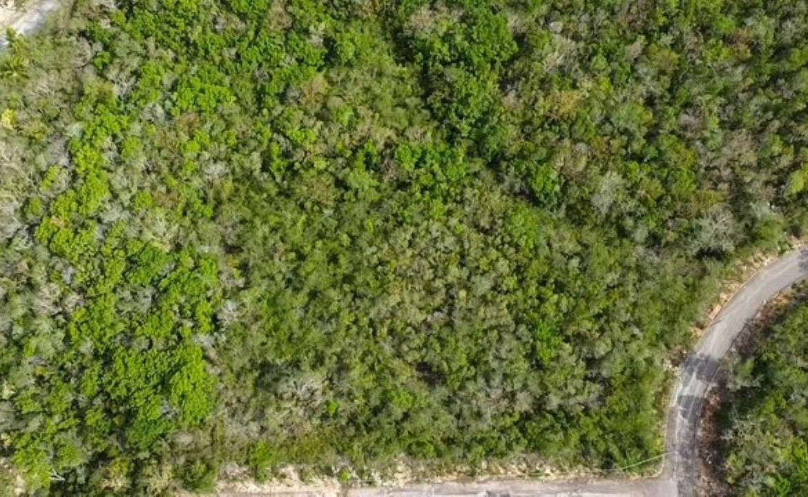 Third image of 114 Highlands, Spring Farm in Half Moon, St. James, Jamaica - property is For Sale