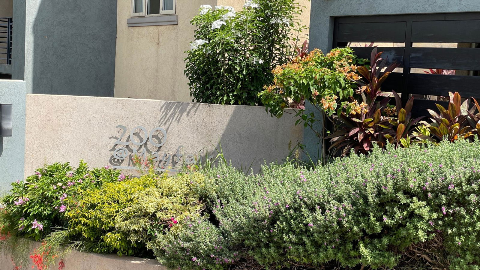 Twelfth image of 201- 23 Mayfair Close in Kingston 19, St. Andrew, Jamaica - property is For Rent
