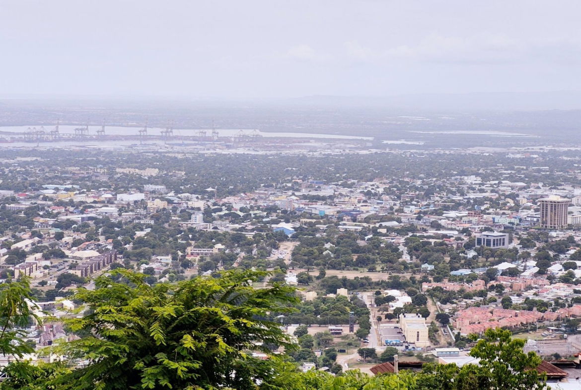 Thirteenth image of 2f- Black Birch in Kingston 6, St. Andrew, Jamaica - property is For Rent