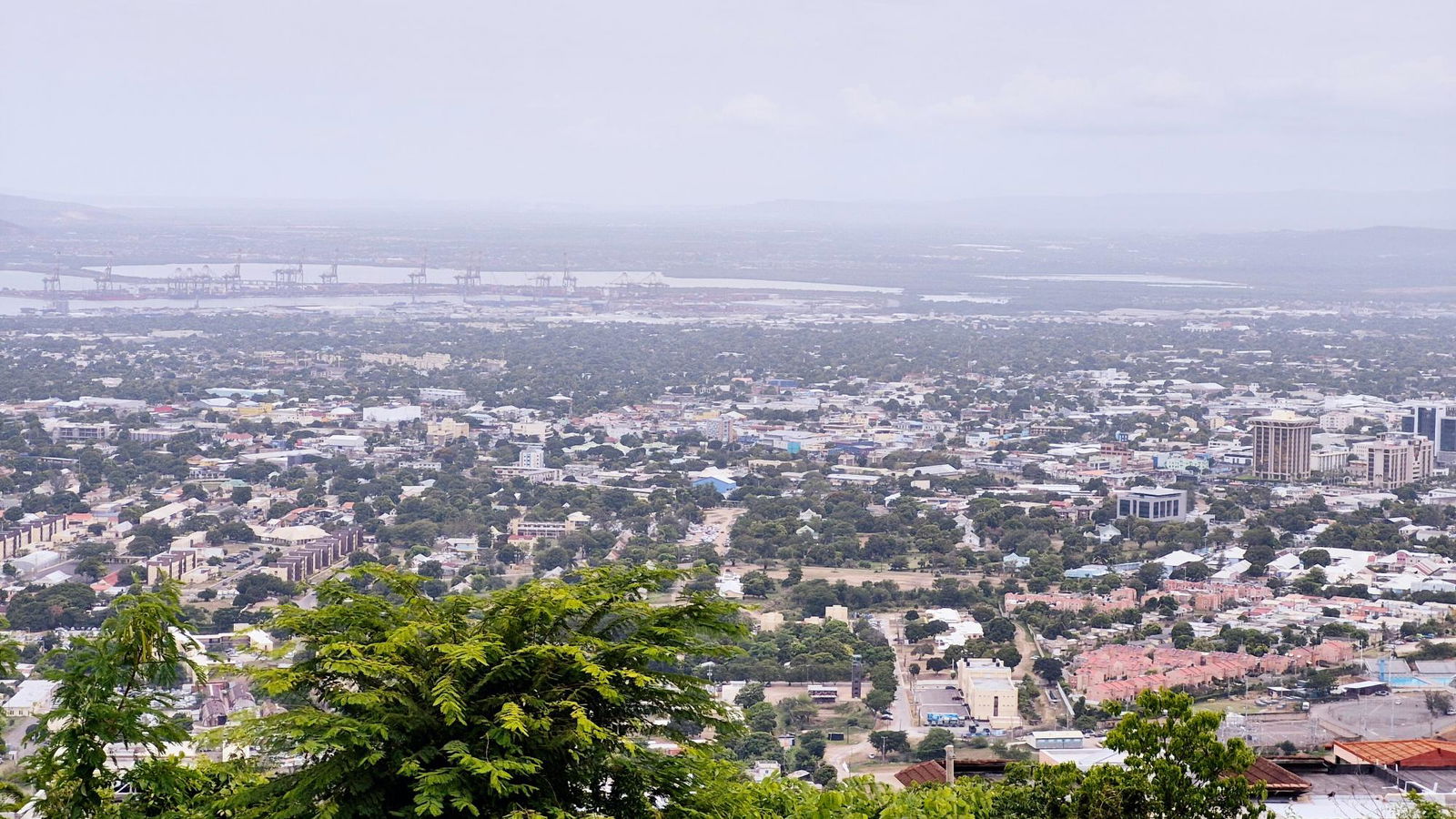 Thirteenth image of 2f- Black Birch in Kingston 6, St. Andrew, Jamaica - property is For Rent