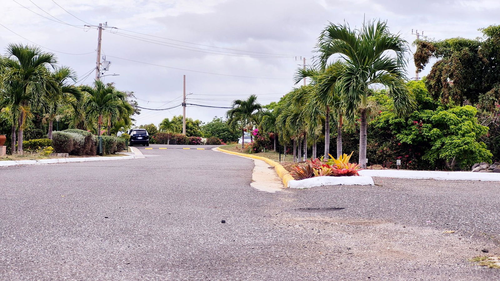 Sixteenth image of 2f- Black Birch in Kingston 6, St. Andrew, Jamaica - property is For Rent