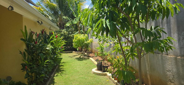 Twenty-Eighth image of The Crest-917 Lignum Vitae Avenue in Richmond, St. Ann, Jamaica - property is For Sale