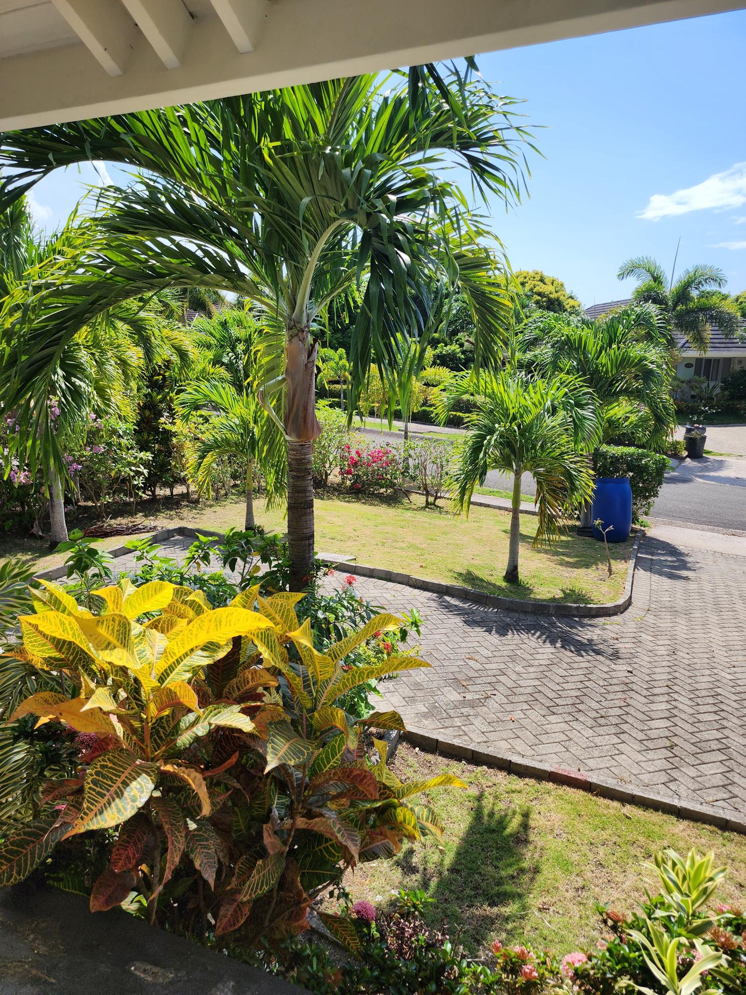 Fourth image of 476 Cassava Avenue in Richmond, St. Ann, Jamaica - property is For Rent