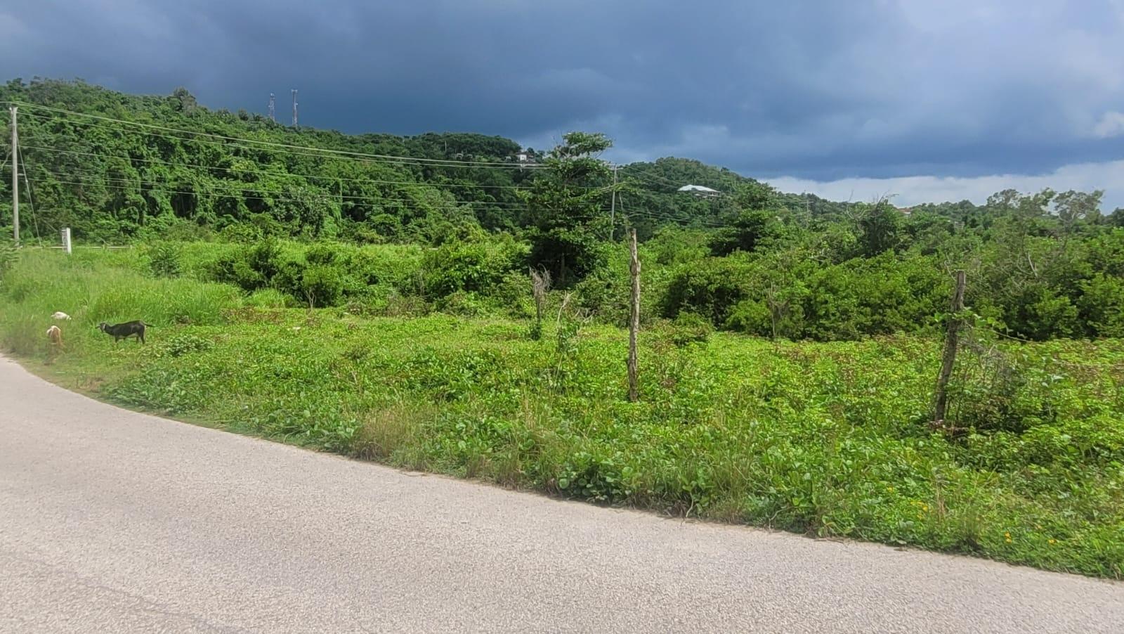 Fifth image of 581 Haughton Court Lucea in Haughton Court, Hanover, Jamaica - property is For Sale