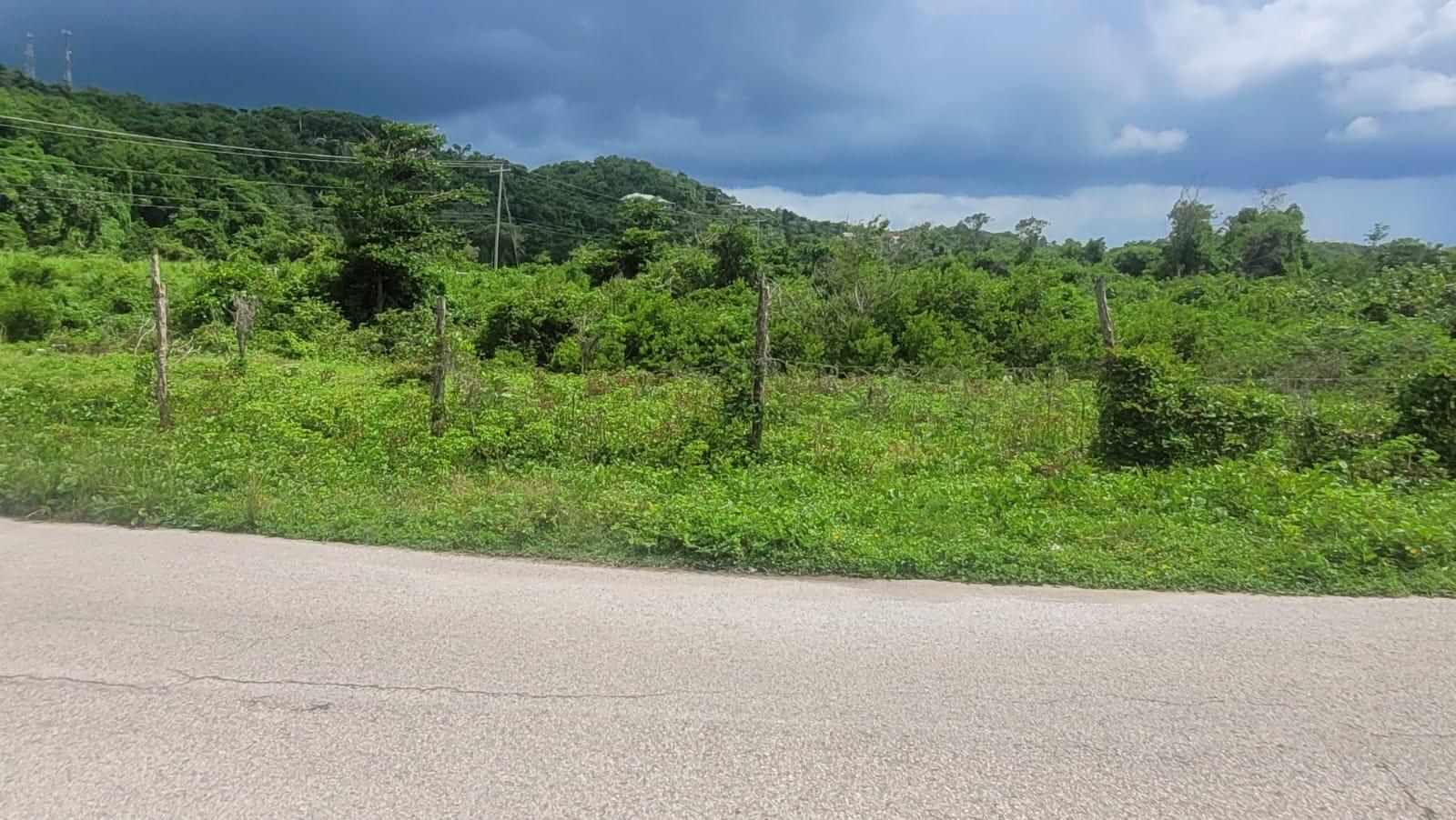 Seventh image of 581 Haughton Court Lucea in Haughton Court, Hanover, Jamaica - property is For Sale
