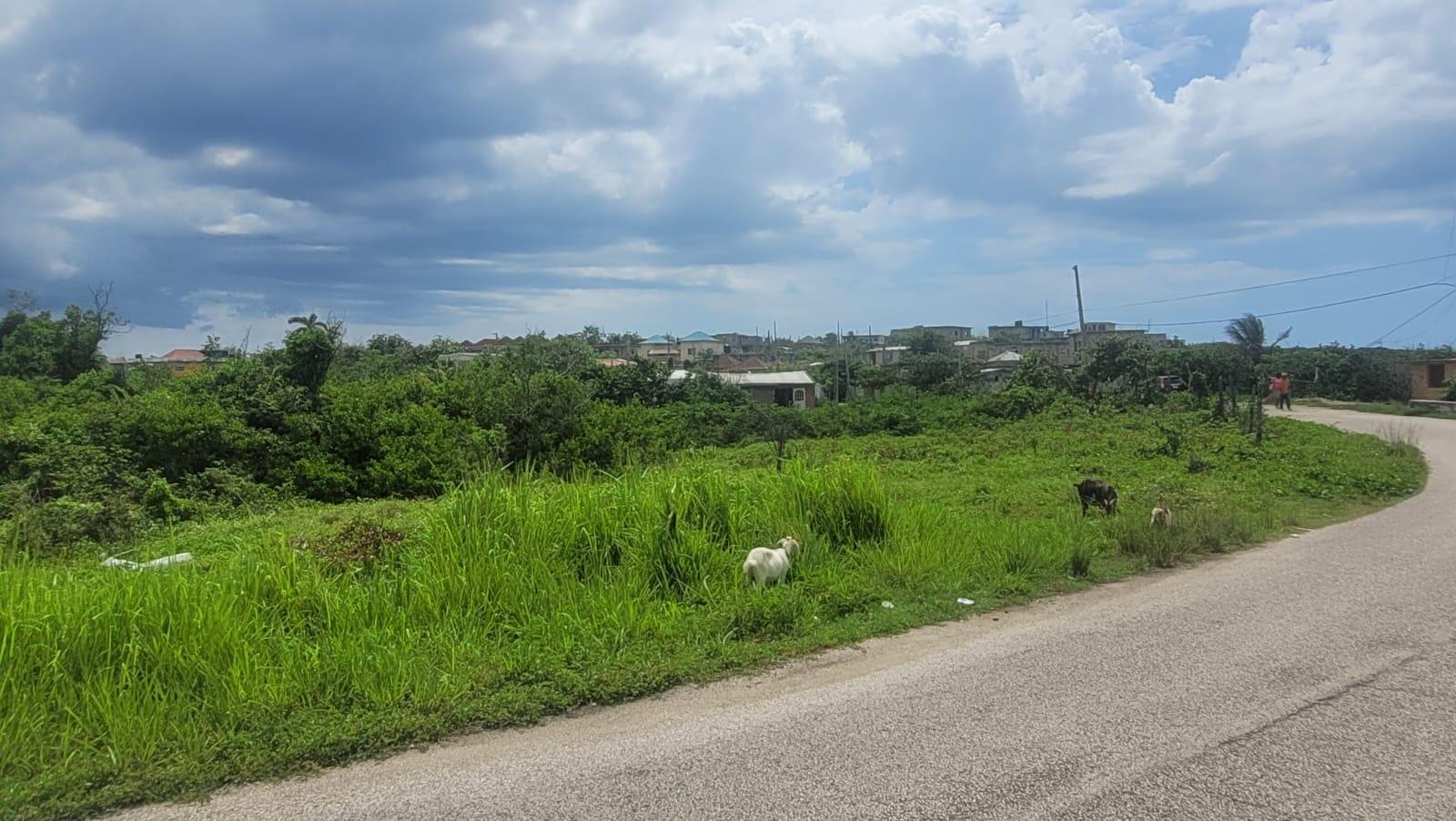 Ninth image of 581 Haughton Court Lucea in Haughton Court, Hanover, Jamaica - property is For Sale