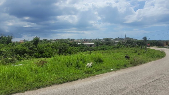 Ninth image of 581 Haughton Court Lucea in Haughton Court, Hanover, Jamaica - property is For Sale