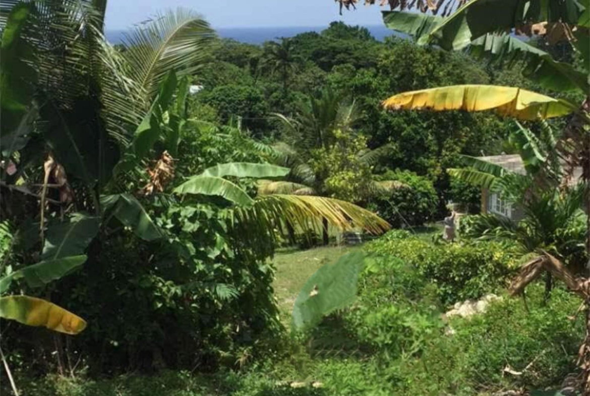 Second image of 3c Passley Gardens in Passley Garden, Portland, Jamaica - property is For Sale