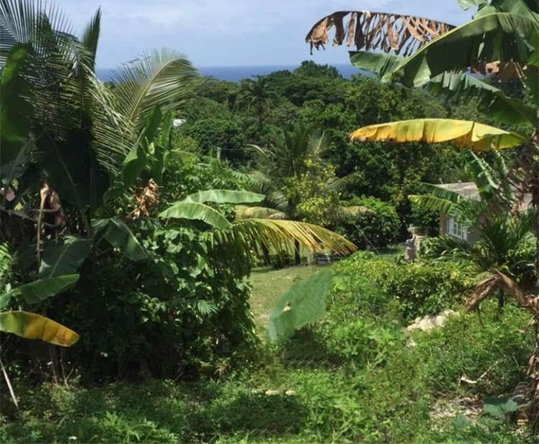Second image of 3c Passley Gardens in Passley Garden, Portland, Jamaica - property is For Sale