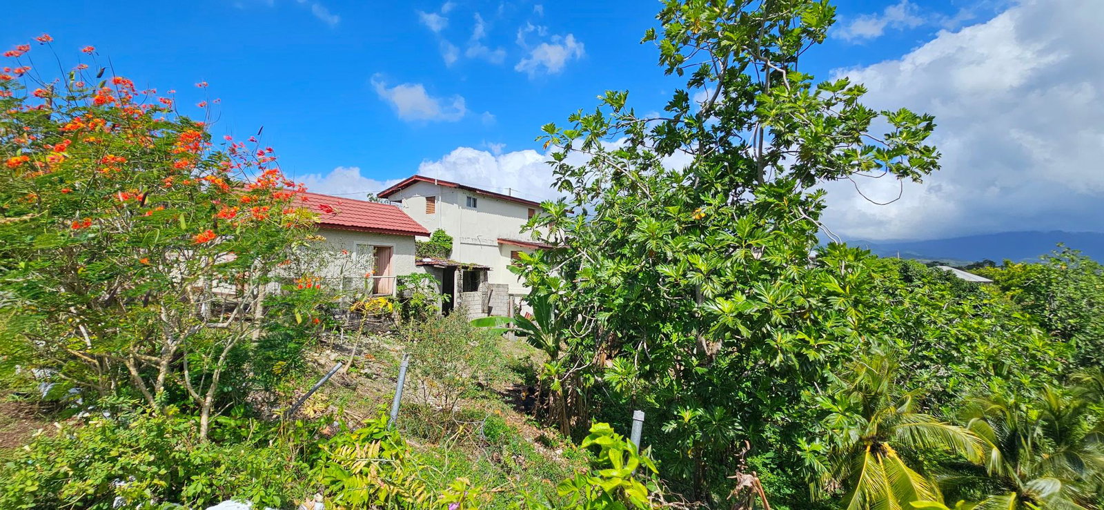 Third image of Sedgewick Pen, Pilot, Wil in Willmington, St. Thomas, Jamaica - property is For Sale