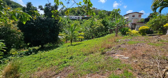 Fourth image of Sedgewick Pen, Pilot, Wil in Willmington, St. Thomas, Jamaica - property is For Sale