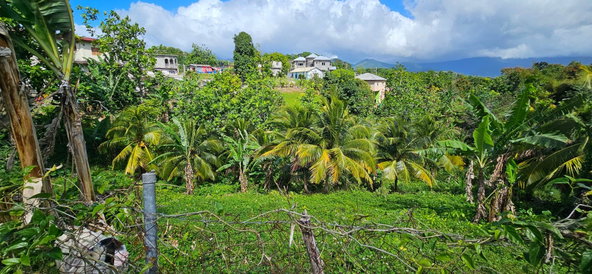 Fifth image of Sedgewick Pen, Pilot, Wil in Willmington, St. Thomas, Jamaica - property is For Sale