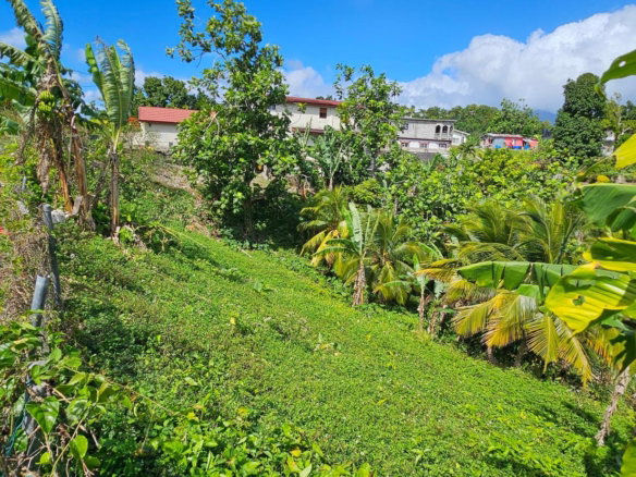 First image of Sedgewick Pen, Pilot, Wil in Willmington, St. Thomas, Jamaica - property is For Sale