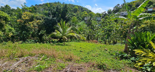 Eighth image of Sedgewick Pen, Pilot, Wil in Willmington, St. Thomas, Jamaica - property is For Sale