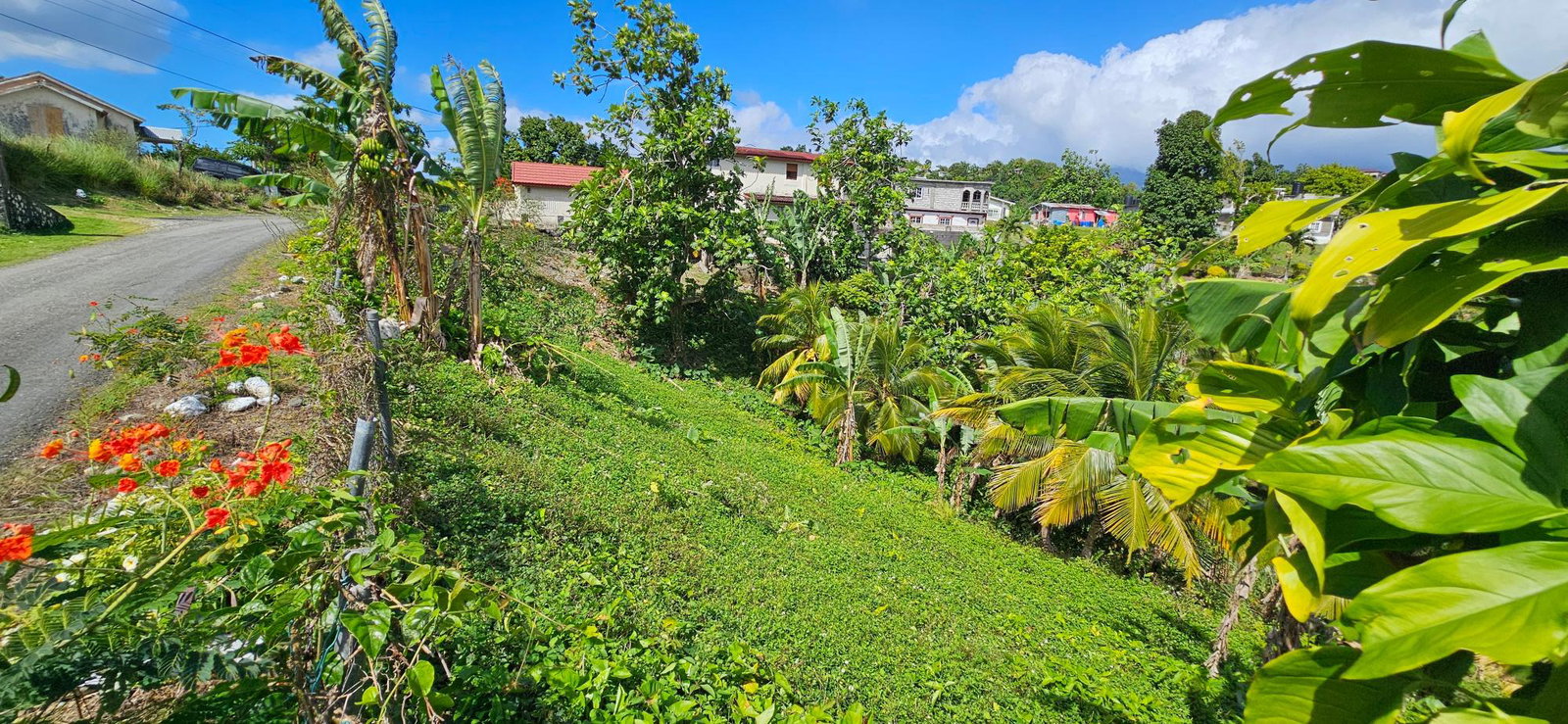 First image of Sedgewick Pen, Pilot, Wil in Willmington, St. Thomas, Jamaica - property is For Sale