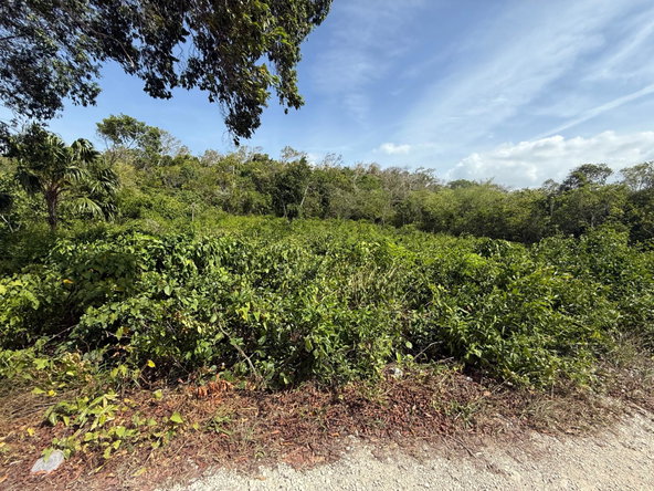 Second image of Dairy Rd, Discovery Bay in Discovery Bay, St. Ann, Jamaica - property is For Sale