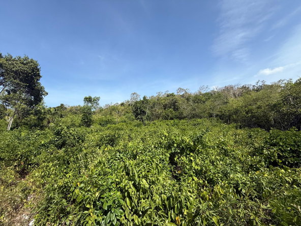 Third image of Dairy Rd, Discovery Bay in Discovery Bay, St. Ann, Jamaica - property is For Sale