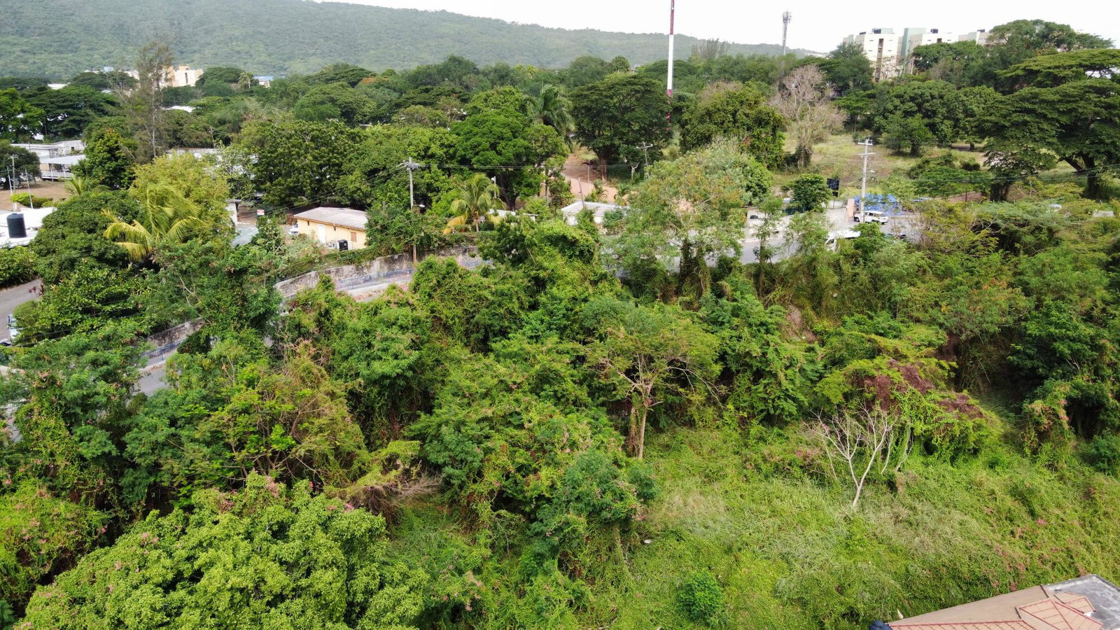 Eleventh image of 1-7 University Road in Kingston 7, St. Andrew, Jamaica - property is For Sale