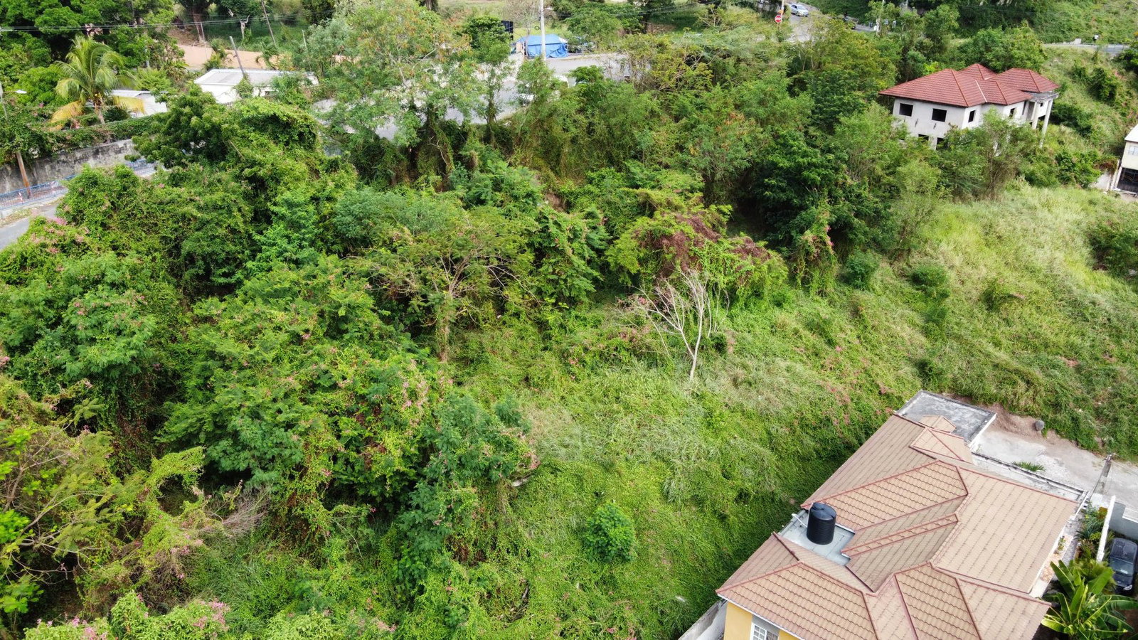 Twelfth image of 1-7 University Road in Kingston 7, St. Andrew, Jamaica - property is For Sale