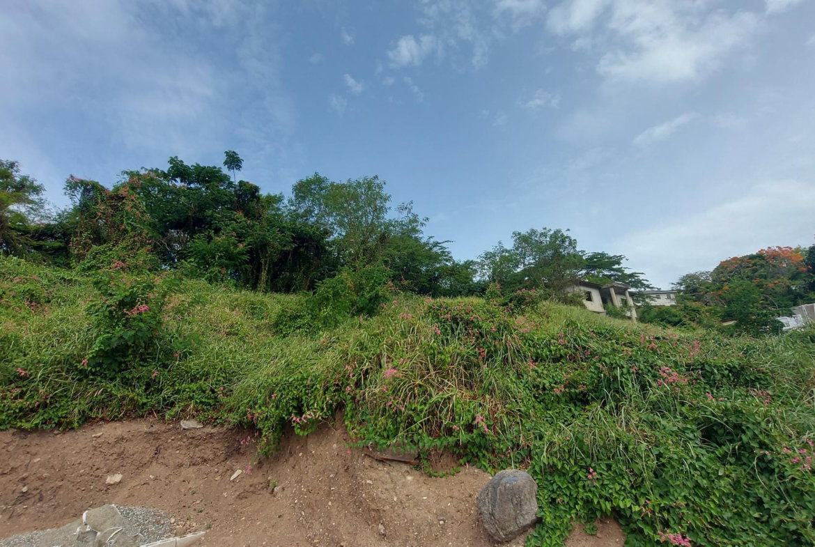 Fifth image of 1-7 University Road in Kingston 7, St. Andrew, Jamaica - property is For Sale