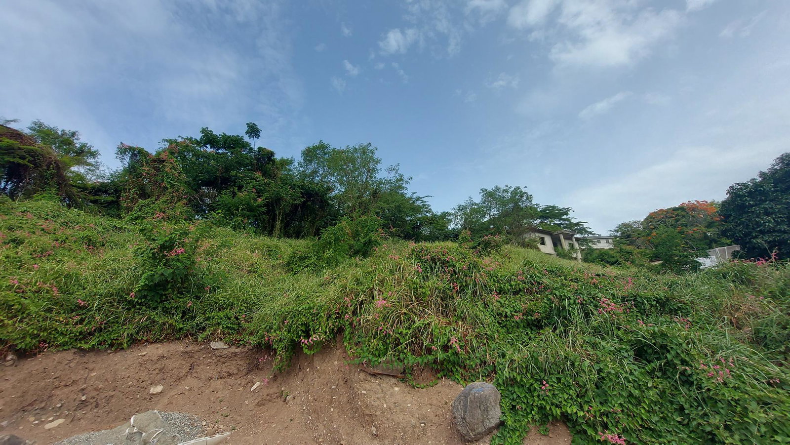 Fifth image of 1-7 University Road in Kingston 7, St. Andrew, Jamaica - property is For Sale