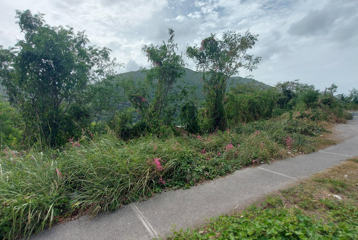 Sixth image of 1-7 University Road in Kingston 7, St. Andrew, Jamaica - property is For Sale