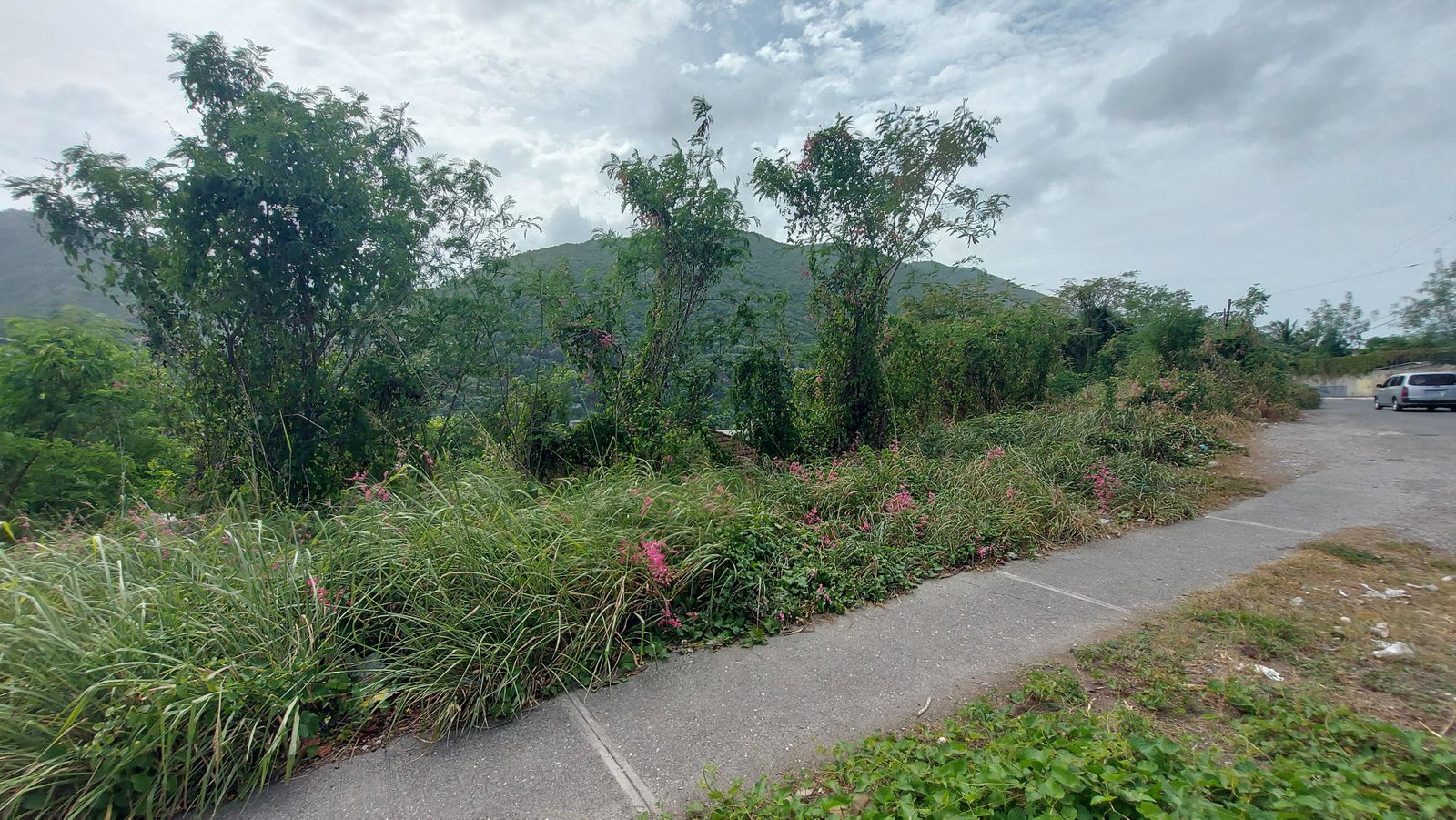 Sixth image of 1-7 University Road in Kingston 7, St. Andrew, Jamaica - property is For Sale