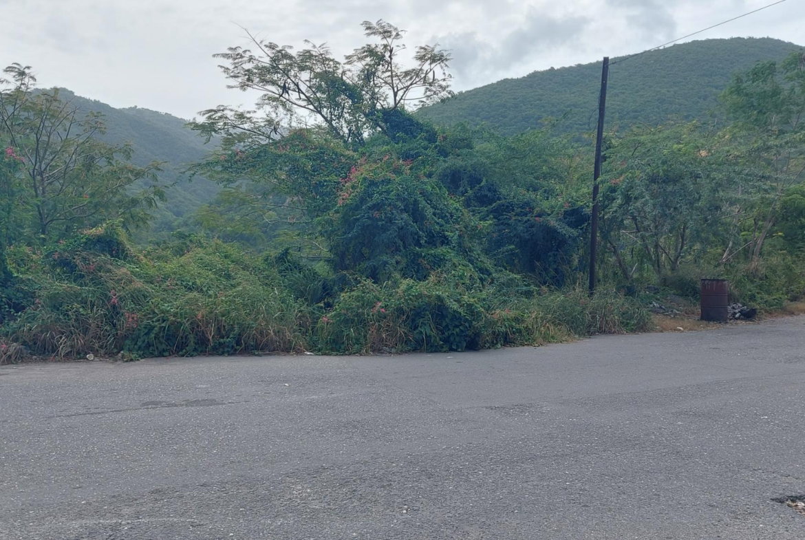 Seventh image of 1-7 University Road in Kingston 7, St. Andrew, Jamaica - property is For Sale