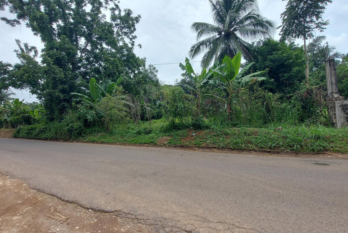 Eighth image of 1-7 University Road in Kingston 7, St. Andrew, Jamaica - property is For Sale