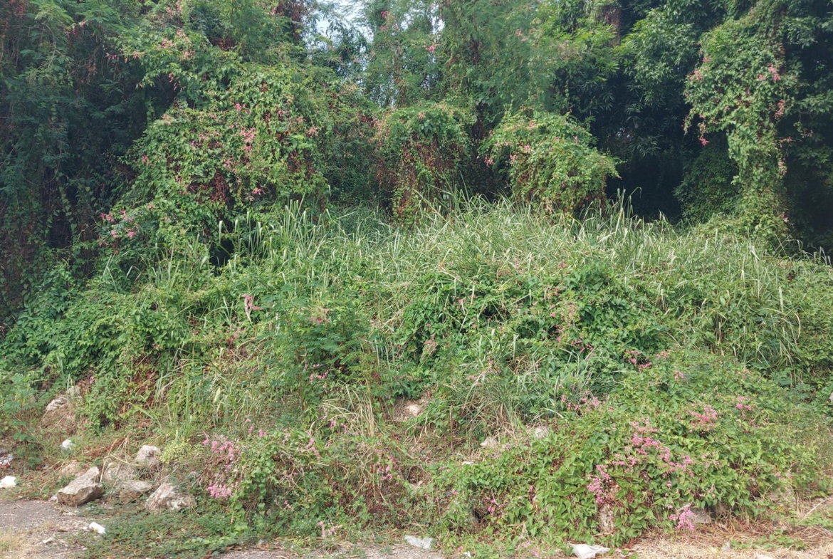 Ninth image of 1-7 University Road in Kingston 7, St. Andrew, Jamaica - property is For Sale