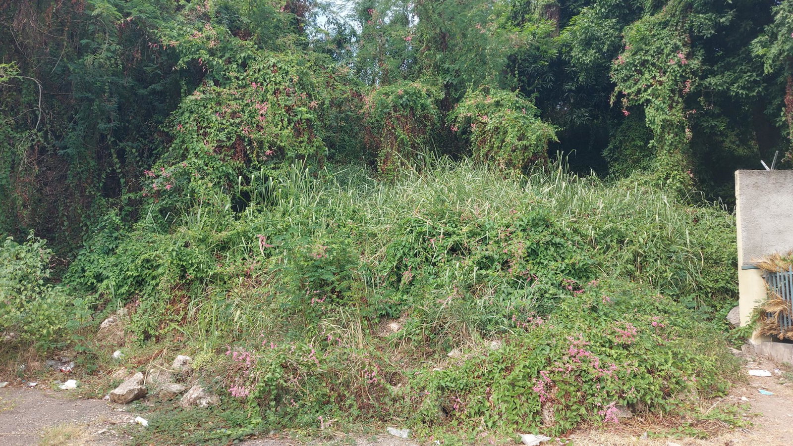 Ninth image of 1-7 University Road in Kingston 7, St. Andrew, Jamaica - property is For Sale