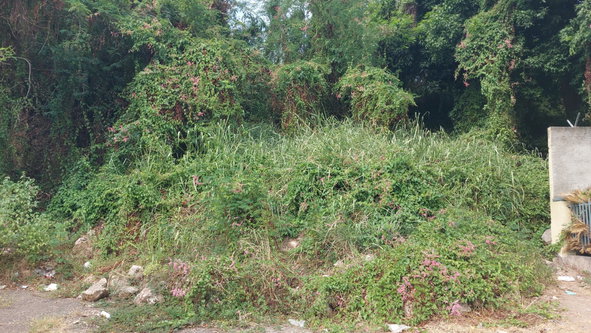 Ninth image of 1-7 University Road in Kingston 7, St. Andrew, Jamaica - property is For Sale