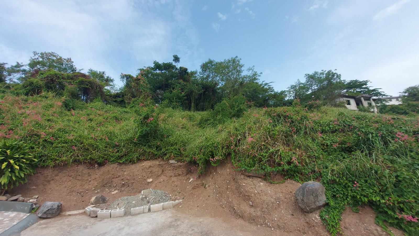 Tenth image of 1-7 University Road in Kingston 7, St. Andrew, Jamaica - property is For Sale