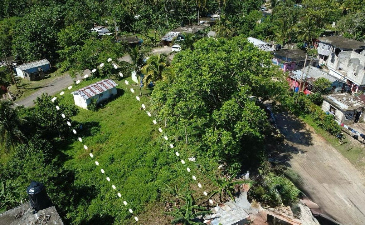 First image of Plantation Heights in Bickersteth, St. James, Jamaica - property is For Sale