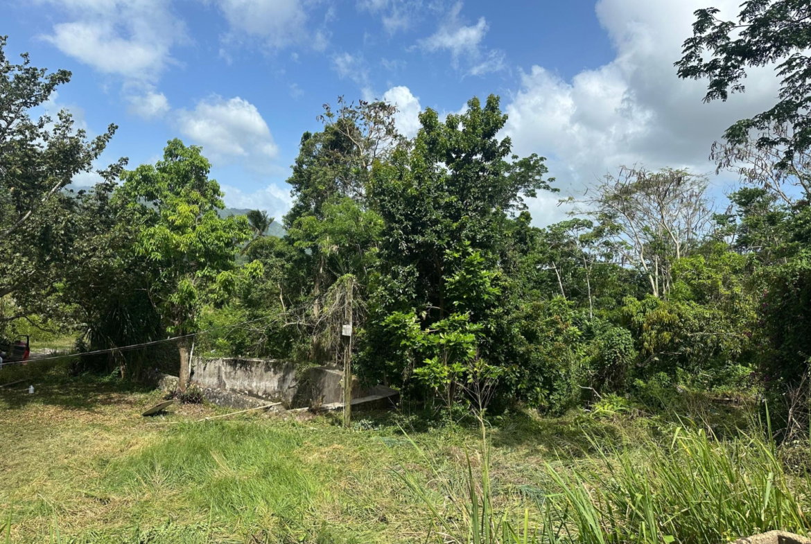 Twelfth image of 17 Diamond Road Kingston 9 in Kingston 9, St. Andrew, Jamaica - property is For Sale