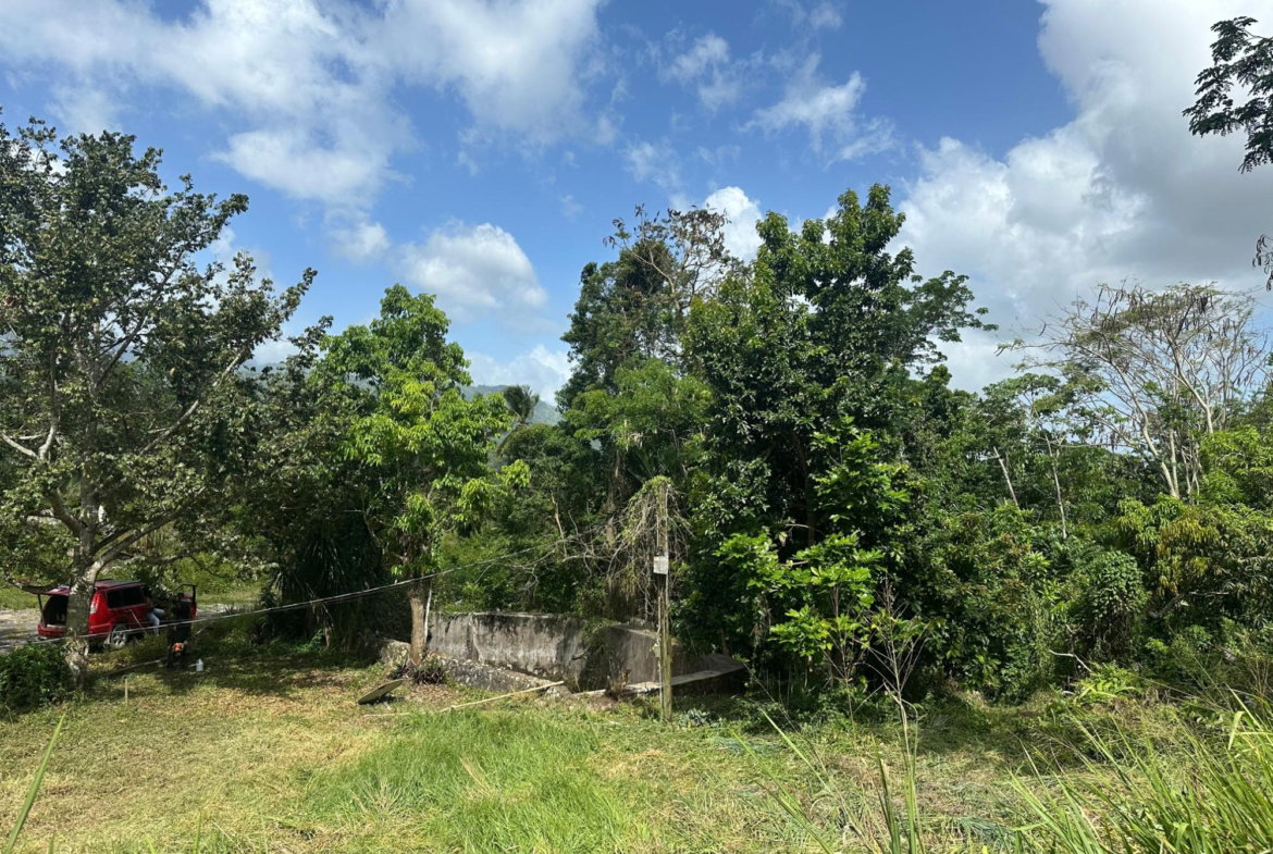 Fourteenth image of 17 Diamond Road Kingston 9 in Kingston 9, St. Andrew, Jamaica - property is For Sale