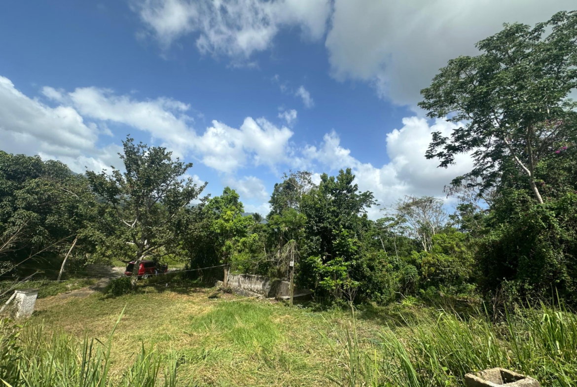 Fifteenth image of 17 Diamond Road Kingston 9 in Kingston 9, St. Andrew, Jamaica - property is For Sale