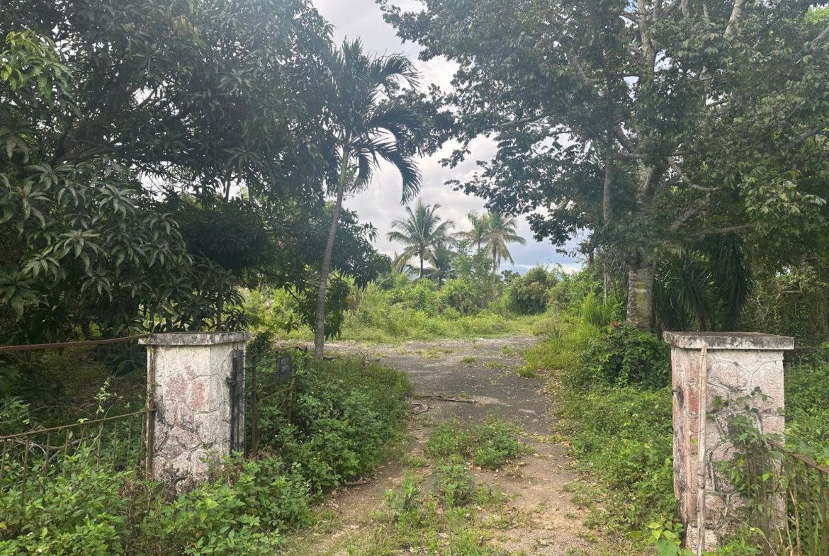 Fifth image of 17 Diamond Road Kingston 9 in Kingston 9, St. Andrew, Jamaica - property is For Sale