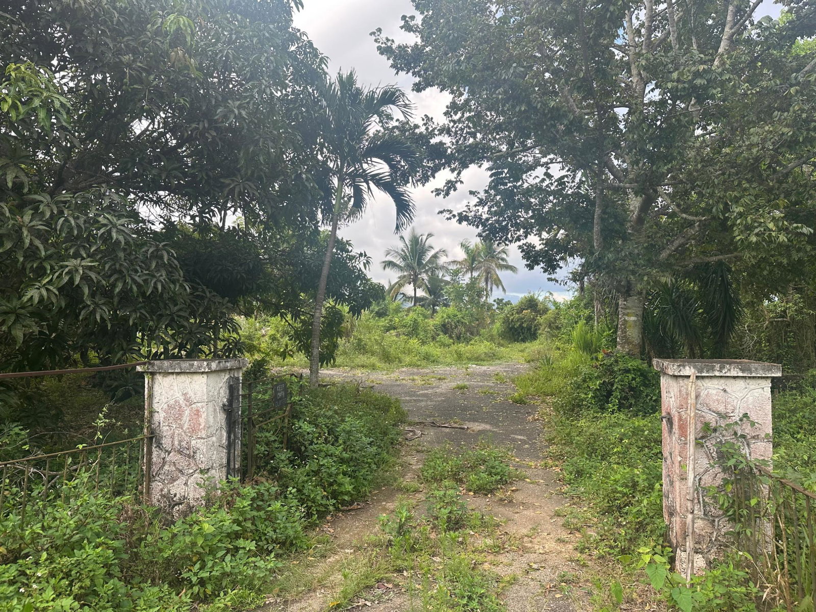 Fifth image of 17 Diamond Road Kingston 9 in Kingston 9, St. Andrew, Jamaica - property is For Sale