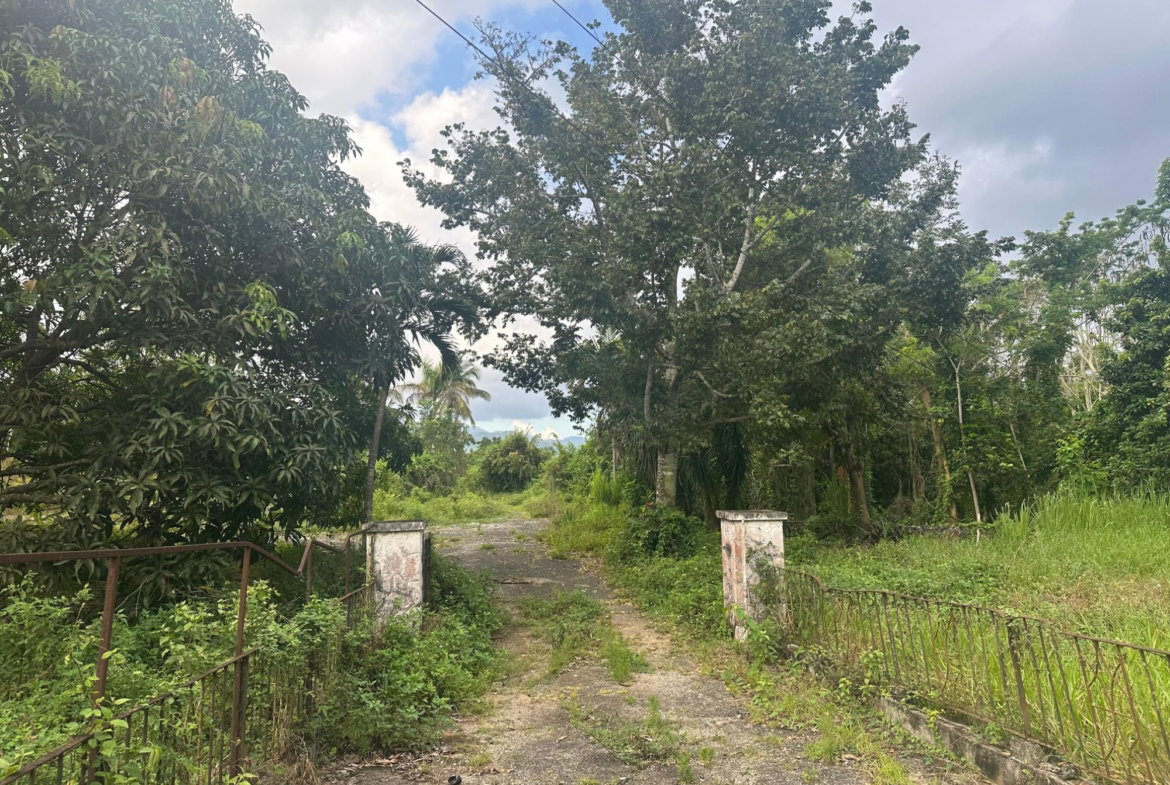 Sixth image of 17 Diamond Road Kingston 9 in Kingston 9, St. Andrew, Jamaica - property is For Sale