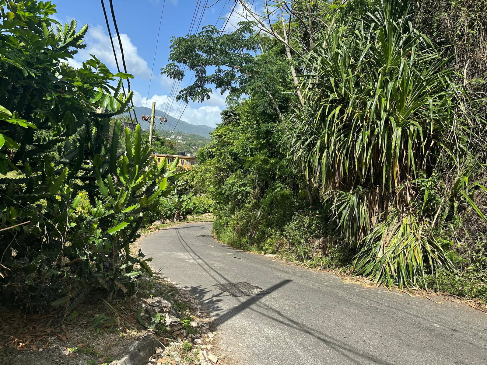 Tenth image of 17 Diamond Road Kingston 9 in Kingston 9, St. Andrew, Jamaica - property is For Sale