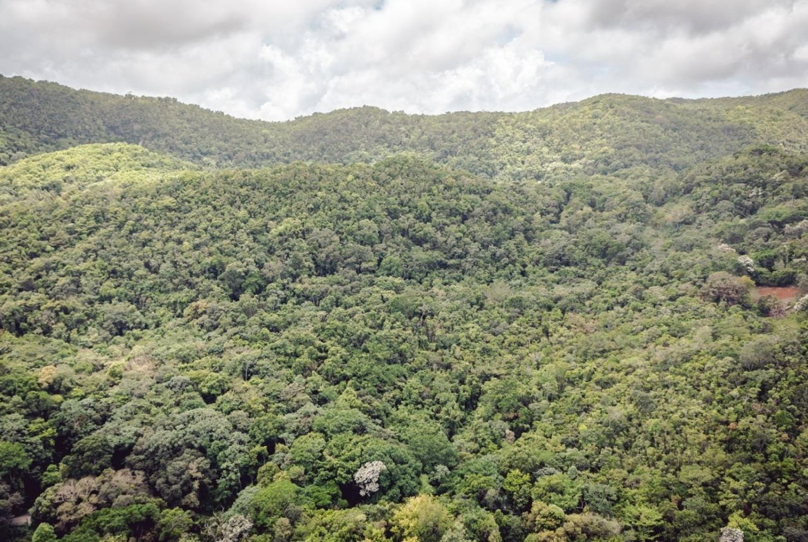 Second image of Content Pen, st Ann in Content, St. Ann, Jamaica - property is For Sale